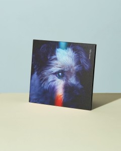 Kraksa CD