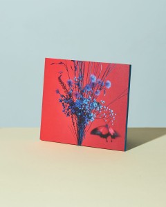 Mikromusic z Dolnej Półki CD